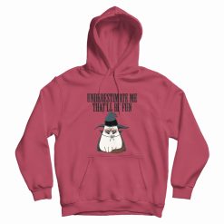 Underestimate Me That'll Be Fun Grumpy Cat Witch Hoodie