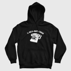 Hot To Go Wlw Midwest Princess Queer Hoodie